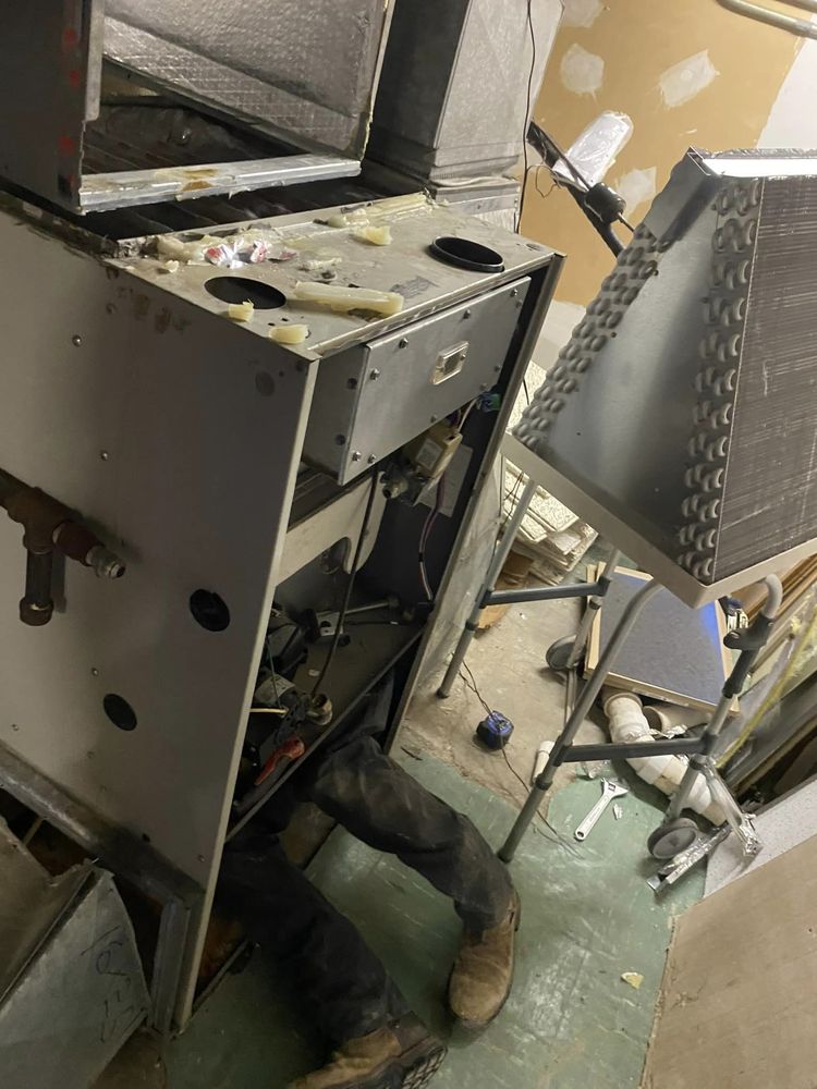 Slide of Sullivan’s