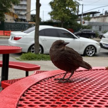 McDonald's - Fast Food Near Me - Brooklyn, New York