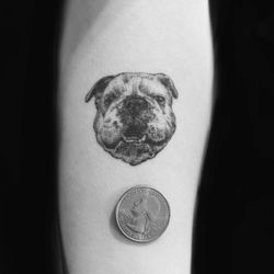 Rocky Shores Tattoo - Realistic micro dog portrait 
Tattoo Artist: Jen Beirola
Rocky Shores Tattoo Company
Middletown, Rhode Island.