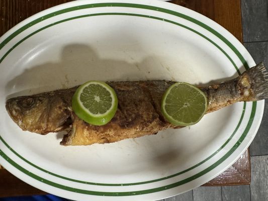 La Cabaña Salvadoreña by null