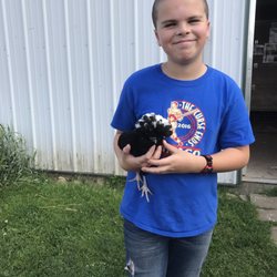 Hinchley's Dairy Farm Tours