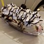 Photo of Scoops Ice Cream