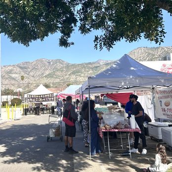 Pasadena Farmers Market - Farmer's market - Farmers Market Near Me - Pasadena, California Pasadena Farmers Market - Farmer's market - Farmers Market Near Me - Pasadena, California