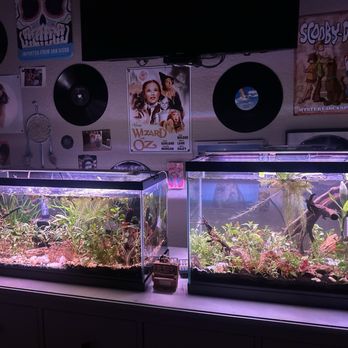 Pet Zone Tropical Fish - more plants from them - Local Fish Stores Near Me - San Diego, California Pet Zone Tropical Fish - more plants from them - Local Fish Stores Near Me - San Diego, California
