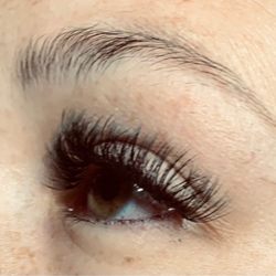 Zodiac Beauty Bar - Volume Lash Extensions