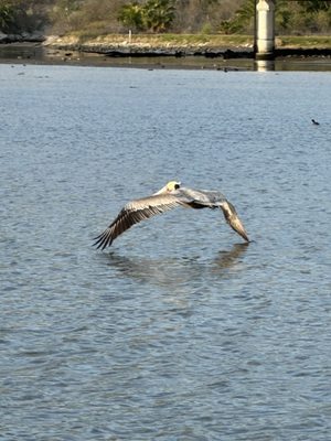 Malibu Lagoon State Beach by null