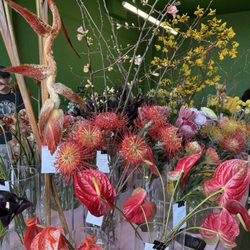 Lenita Flower Shop