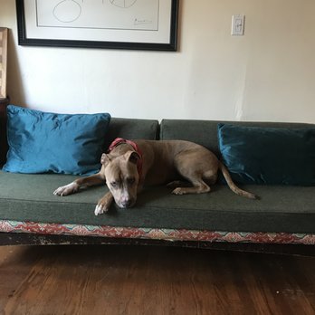Meta Magic Needle - Puppers approves - Sewing & Alterations Near Me Meta Magic Needle - Puppers approves - Sewing & Alterations Near Me