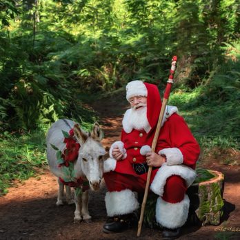 Hazel Dell Cleaners - Someone wants to be a reindeer;-) - Dry Cleaning Near Me - Vancouver, Washington Hazel Dell Cleaners - Someone wants to be a reindeer;-) - Dry Cleaning Near Me - Vancouver, Washington