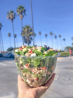 Mary's Salads by null