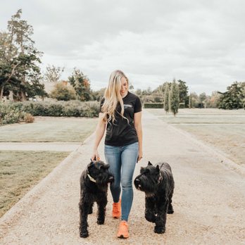 Off Leash K9 Training San Antonio - Pet Training Near Me Off Leash K9 Training San Antonio - Pet Training Near Me