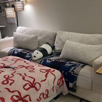 Raccoon Cleaning Services - Home Cleaning Near Me - Bensenville, Illinois Raccoon Cleaning Services - Home Cleaning Near Me - Bensenville, Illinois