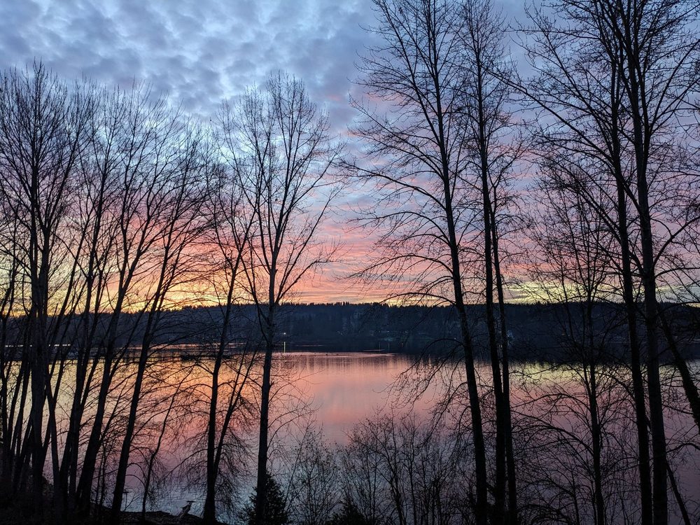 Lighthouse Infusions & Seattle Ketamine - grief counselor in Kenmore, WA