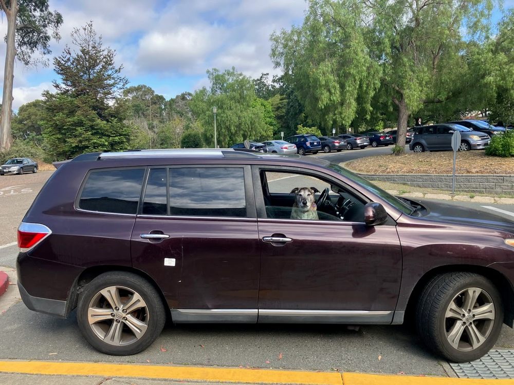 Mills College Children's School - childcare center in Oakland, CA