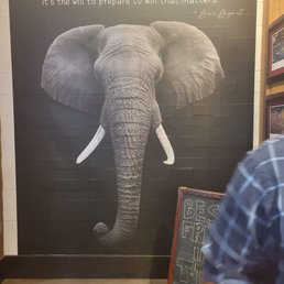 an elephant in front of a chalkboard