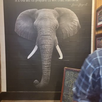 Mediterranean Sandwich - an elephant in front of a chalkboard - Mediterranean Near Me - Tuscaloosa, Alabama