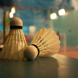 Bellevue Badminton Club