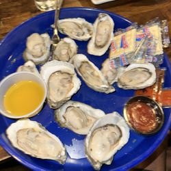 Black Pelican - Steamed Oysters