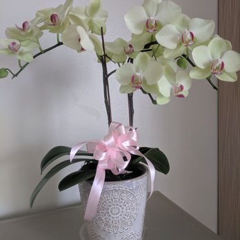 台北榮民總醫院 Hospitals 石牌路二段201號 北投區 台北市 Taiwan Phone Number