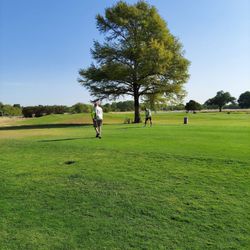 Lake Arlington Golf Course