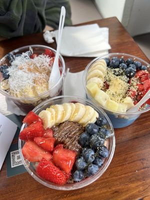 Verve Bowls - Ballard by null