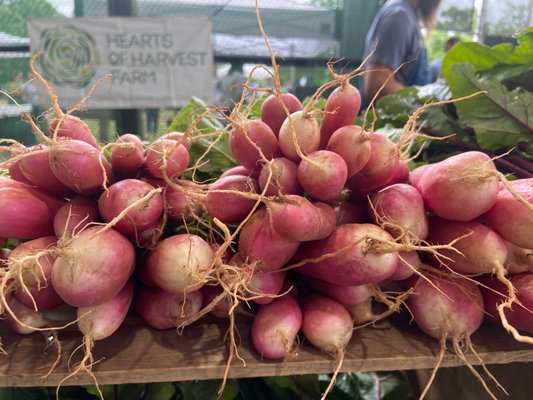 Athens Farmers Market by null
