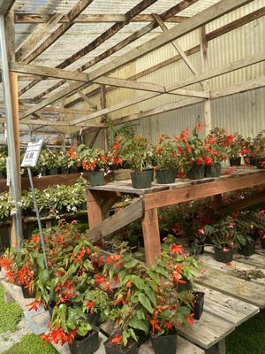 HALF MOON BAY NURSERY - Updated February 2026 - 890 Photos & 351