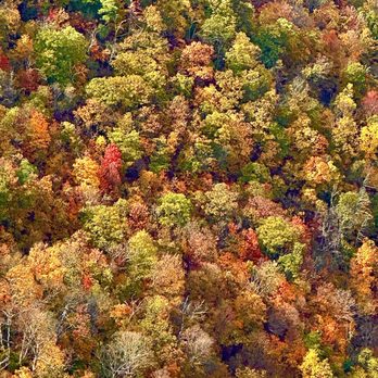 Spacious Skies Campgrounds - Shenandoah Views - Skyline Dr, Shenandoah National Park - Campgrounds Near Me - Luray, Virginia Spacious Skies Campgrounds - Shenandoah Views - Skyline Dr, Shenandoah National Park - Campgrounds Near Me - Luray, Virginia