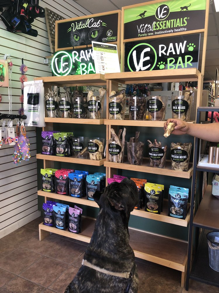 COMMUNITY PET SHOP 14 Photos & 20 Reviews Pet Stores 307 Main St