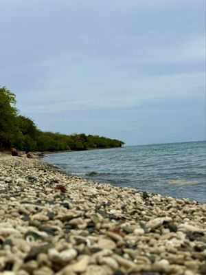 Tamarindo Beach by null