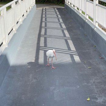 Sunrise Lakes Phase IV - Walk this way! - Apartments Near Me - Sunrise, Florida Sunrise Lakes Phase IV - Walk this way! - Apartments Near Me - Sunrise, Florida