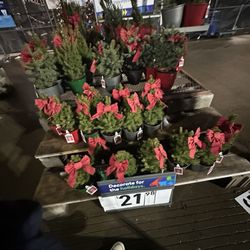 Lowe's Home Improvement
