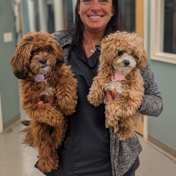 Mount Airy Veterinary Associates - The best care for your pets - Veterinarians Near Me - Mount Airy, Maryland Mount Airy Veterinary Associates - The best care for your pets - Veterinarians Near Me - Mount Airy, Maryland