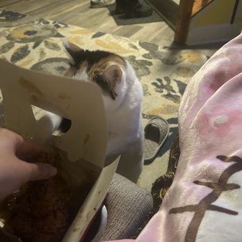 Chicken Pocha - Chicken Wings Near Me - Germantown, Maryland