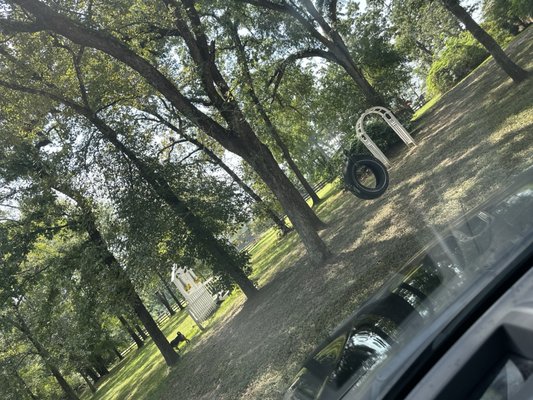 Blu Moon Photography