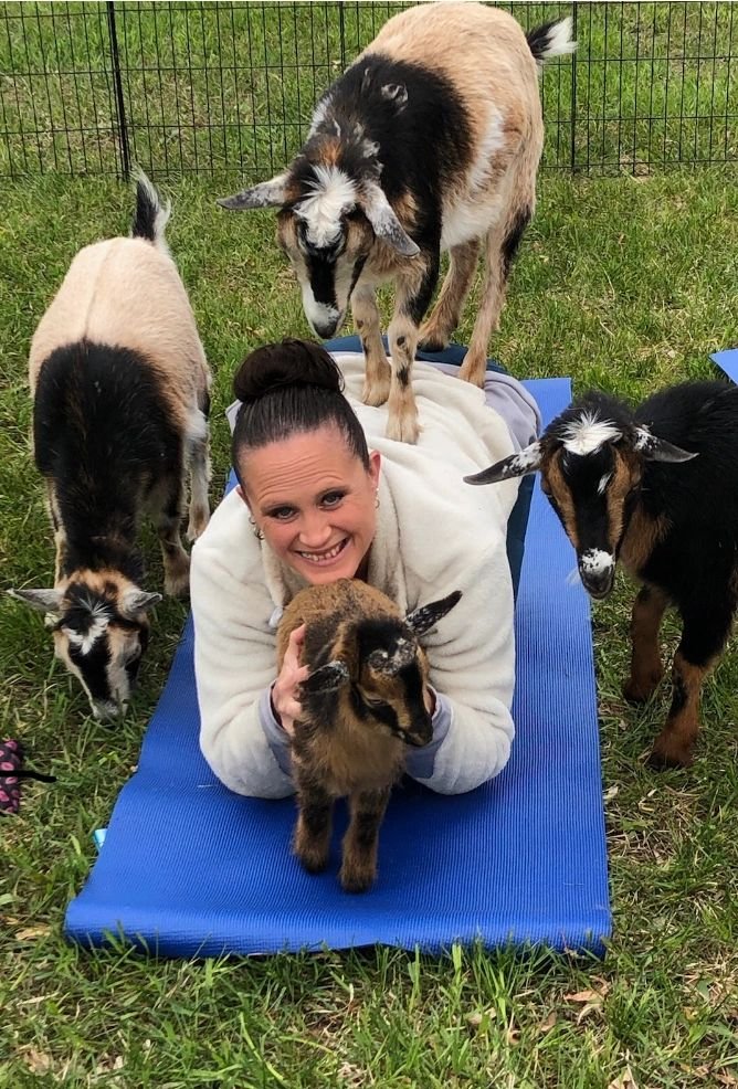 East Leroy Goats & Yoga Logo
