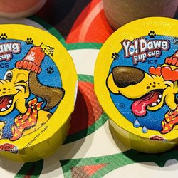 Rosati Ice - Dairy Free Yo'Dawg Pup Cups. Italian ice for dogs