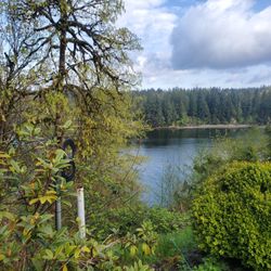 Gateway Property Management - Gorgeous Day on the Hammersley Inlet from our Weston Way property!