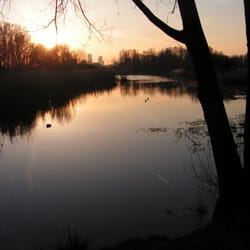 natuurgebied de Esch