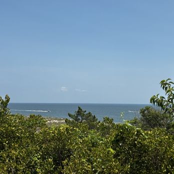 Cape Henlopen State Park - Picture taken outside of the Fort Miles Museum. - Parks Near Me - Lewes, Delaware Cape Henlopen State Park - Picture taken outside of the Fort Miles Museum. - Parks Near Me - Lewes, Delaware