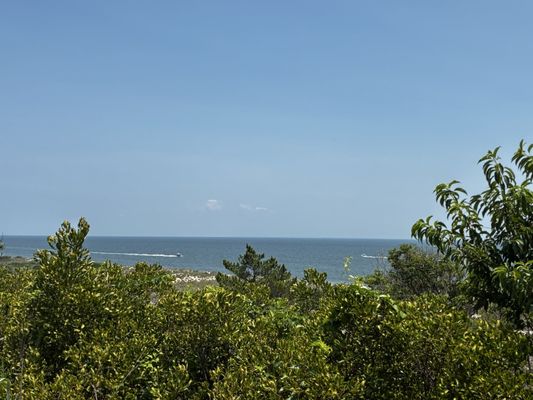 Cape Henlopen State Park by null