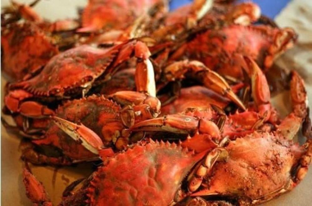 The Original Crabby Bill's Image