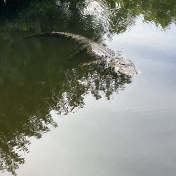 gator park - Boat Tours Near Me - Miami, Florida