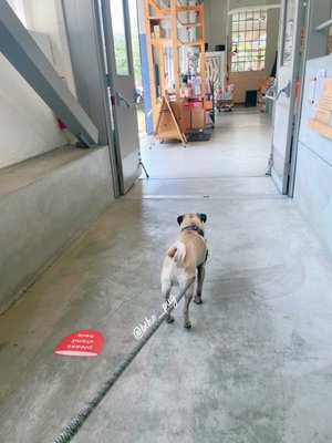 Heath Newsstand by null