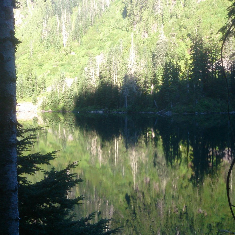 Lake 22 - Great reflection.. Like a big evergreen on the water! - Hiking Near Me - Granite Falls, Washington Lake 22 - Great reflection.. Like a big evergreen on the water! - Hiking Near Me - Granite Falls, Washington