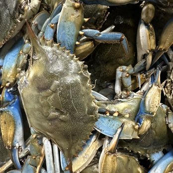 Royal Seafood Mart - a pile of blue crabs - Seafood Near Me - Broussard, Louisiana