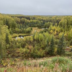 Talkeetna Denali View Lodge & Cabins - Overlook from their deck