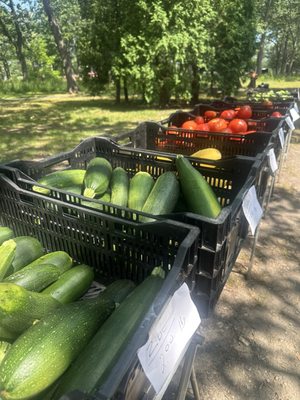 Portland Farmers' Market by null
