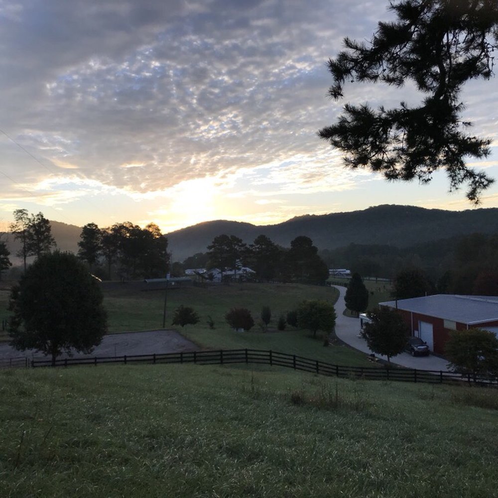 Walnut Hollow Ranch - Meat Shops Near Me - Hayesville, North Carolina Walnut Hollow Ranch - Meat Shops Near Me - Hayesville, North Carolina