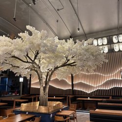 Kenji's - New Cherry Blossom Tree after remodel